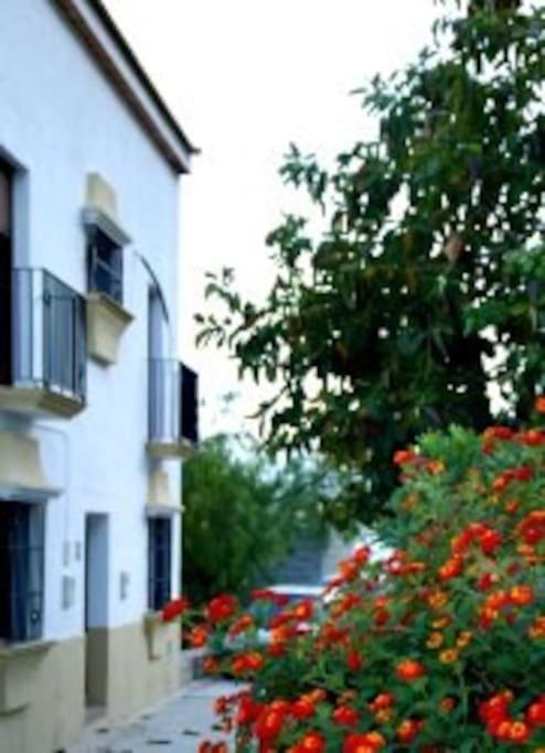 Eagles Nest - Massive Townhouse With Pool With Outstanding Views Villa Algodonales Eksteriør billede
